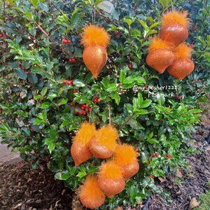 🌲𝐟𝐨𝐫𝐭𝐮𝐧𝐨𝐟𝐟 Glittered Orange Teardrop Christmas Ornaments (3 Pieces)